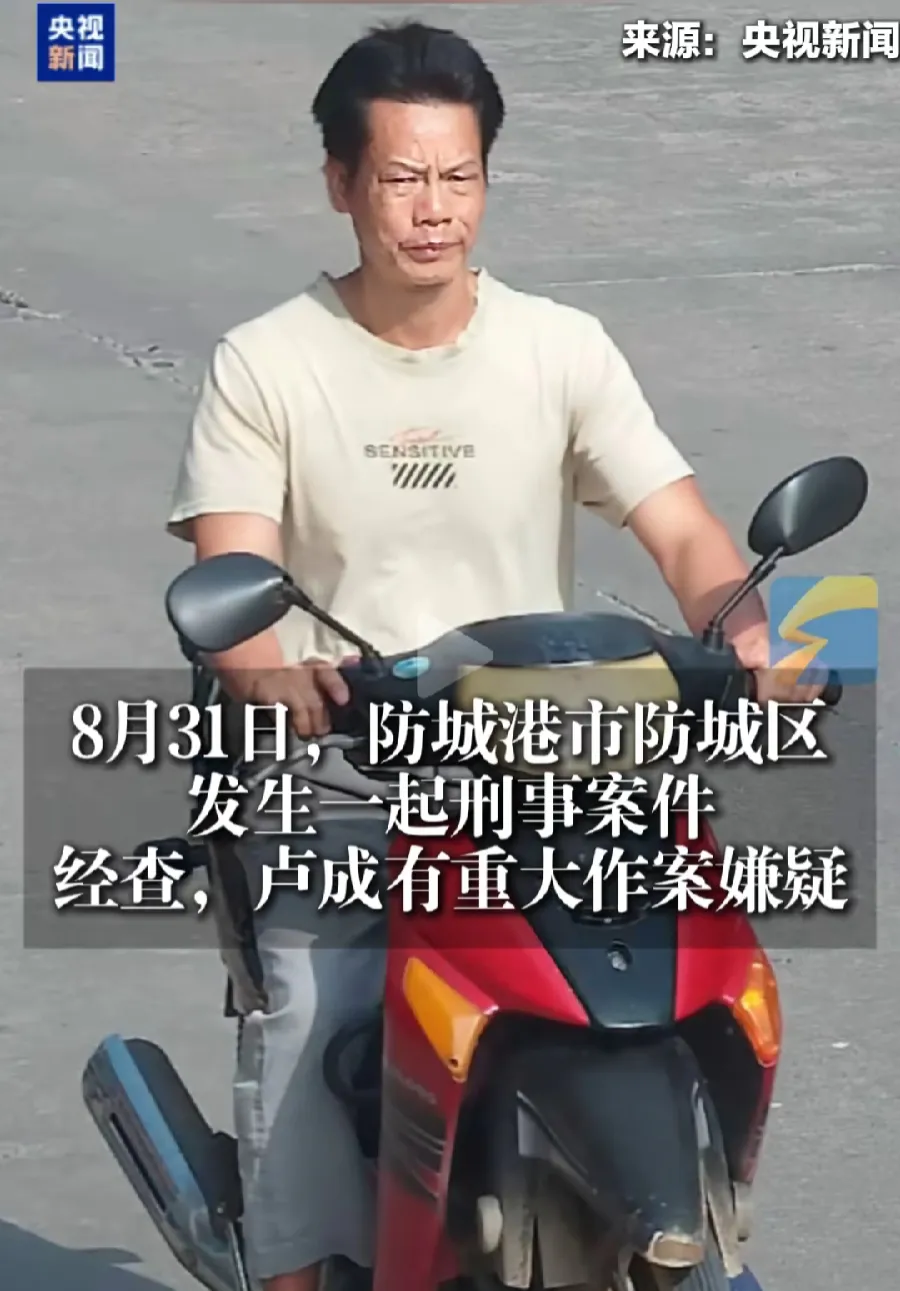 防城港，疑似重大恶性命案，嫌犯53岁卢成，当地网友透露，刀了5个人，1个大人、4