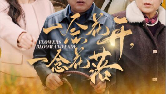 短剧《一念花开一念花落》在线观看完整版（全1-59集）辛润茜