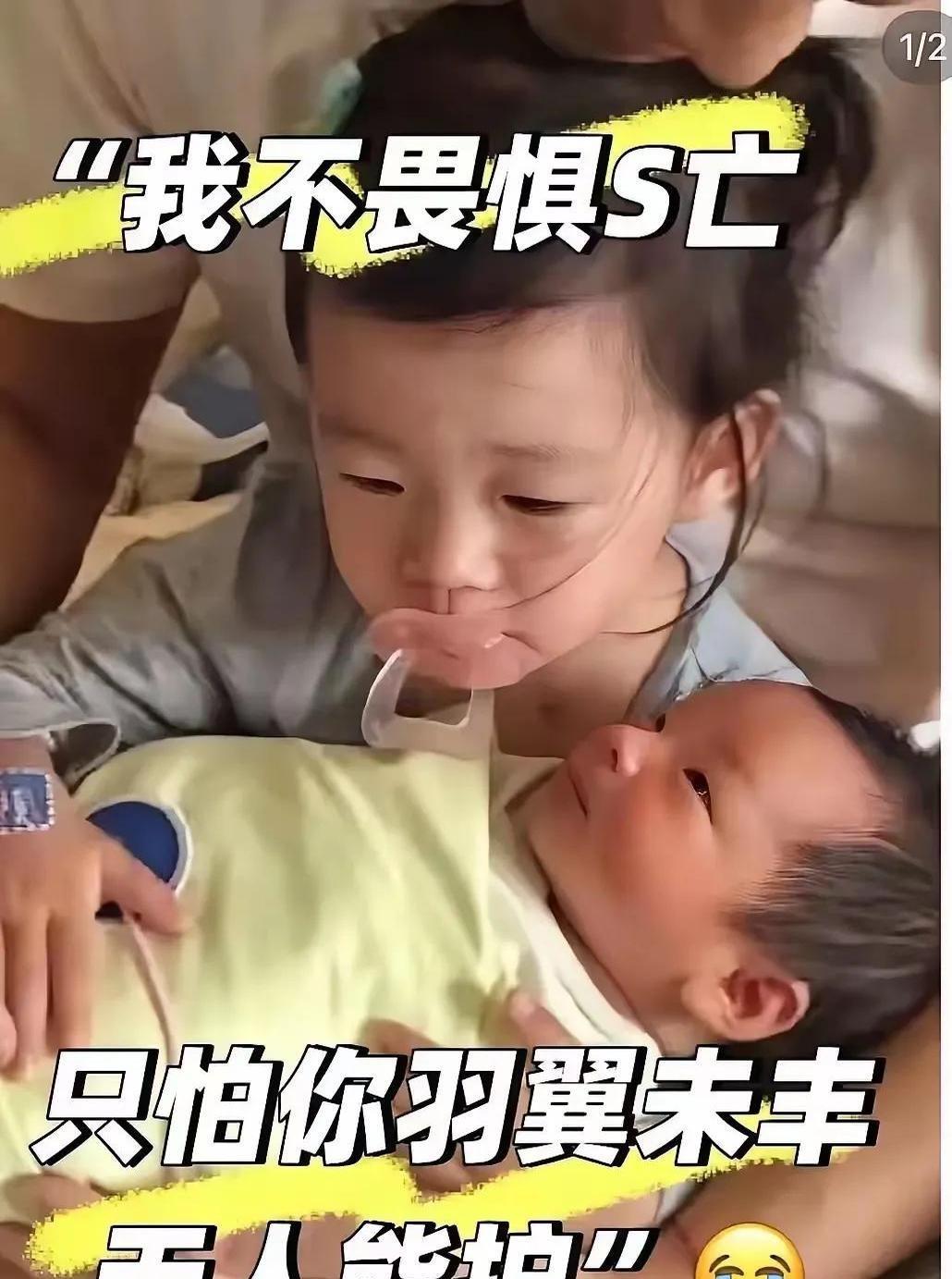 小S请将你姐的两个孩子还给汪小菲吧！你妈老了，你也有三个孩子，你们谁能比孩子亲爸