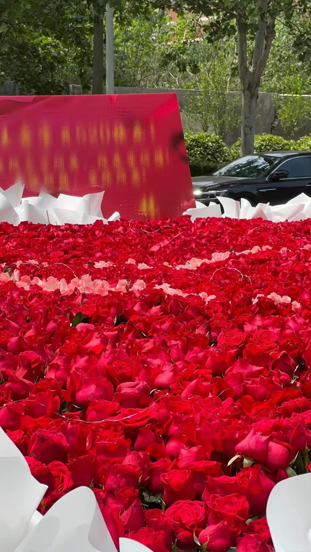 前同事公司的，长见识
没见过这么大束的🌹，前同事公司的姑娘收到的