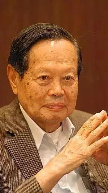 杨振宁与翁帆：无子的选择与国家科学的遗憾