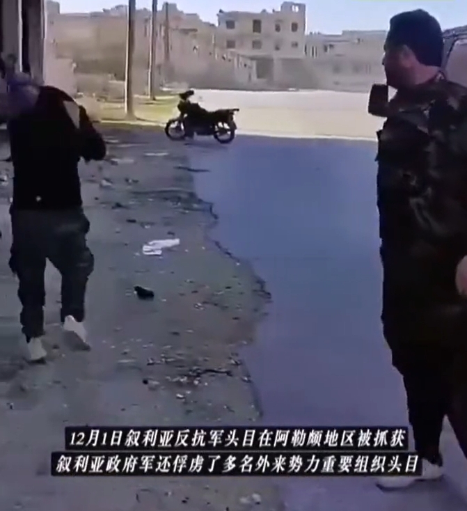 刚刚兴奋了不到两天，国内的大侄子们就都被打脸了