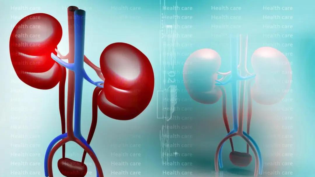 肾小球滤过率不低于这个数还能逆转！可惜很多人不知道，别错过机会