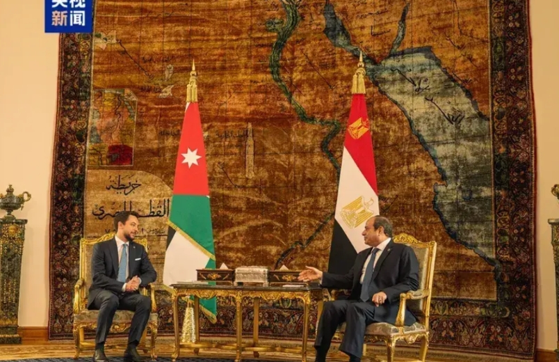 歼10落户开罗后朋友都开始来了解情况了
 据埃及媒体和半岛电视台消息，首批10架