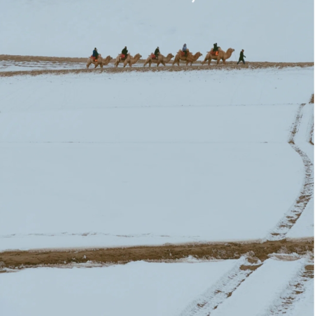 这次出行真的是囧字当头，赶上全国降温，敦煌下雪，但是鸣沙山这个白雪覆盖的景色确实