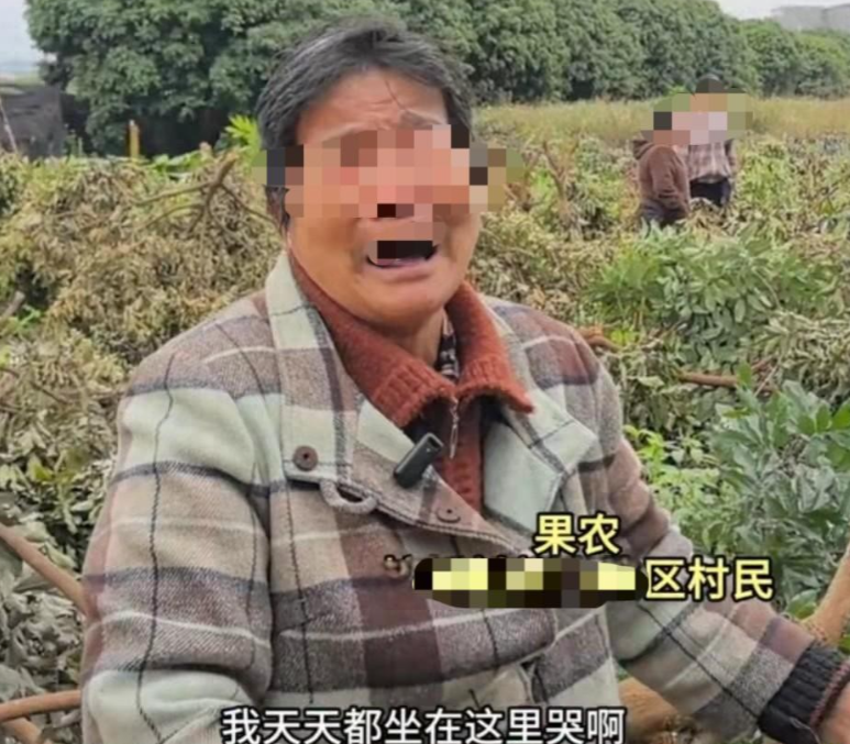 “法不责众？”福建，一女子在自家地里种果树，见旁边有些闲置地，自认为应该属于自己