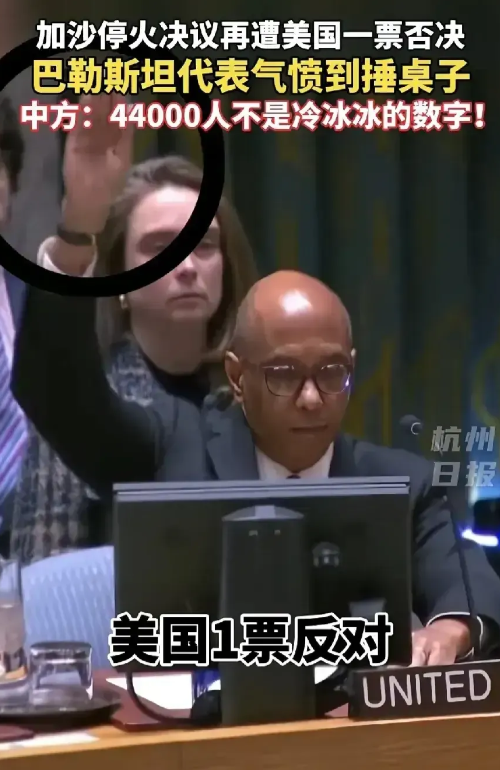 加沙停火计划遭美国否决？巴勒斯坦代表气得拍桌！

1、11月22日，联合国在讨论