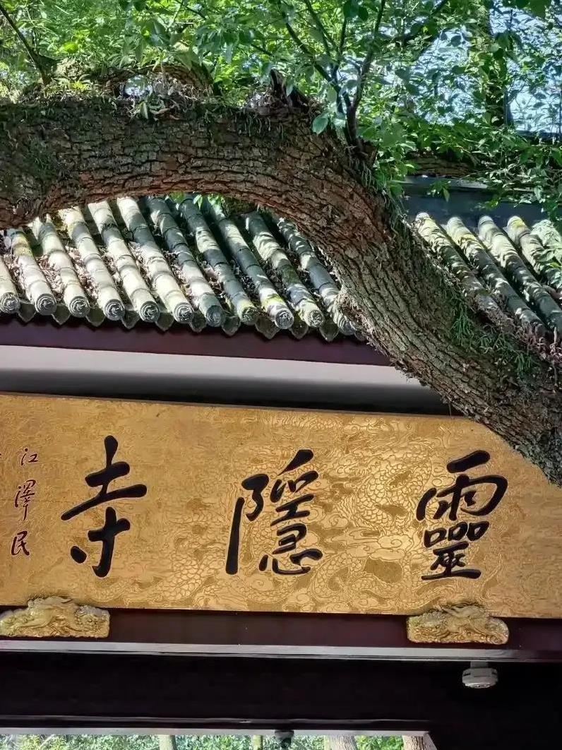 下午1点进了灵隐寺，从山门往寺门走，全是人，只能一点点往前挪。
记者联系景区警方