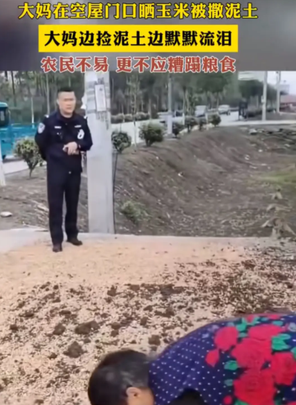 这黑了良心，多缺心眼才能干出这种事