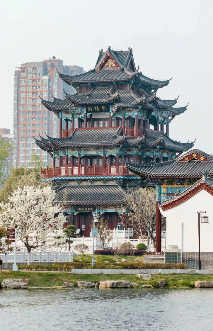 这五个省的人最聪明：
第五：福建省
第四：山东省
第三：湖北省
第二：河南省
第