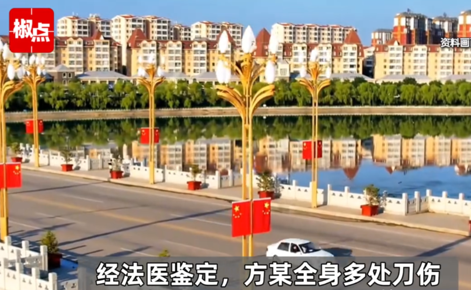 山西朔州，村委干部方某在前往某村送白面途中，遭到村民雷某的袭击。两人发生激烈扭打