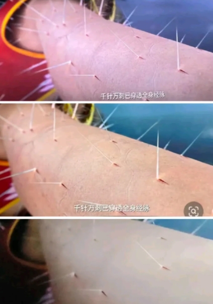 原来不同影院的区别这么大啊！
第二种到底是哪种，imax，3d，2d哪种？想再去