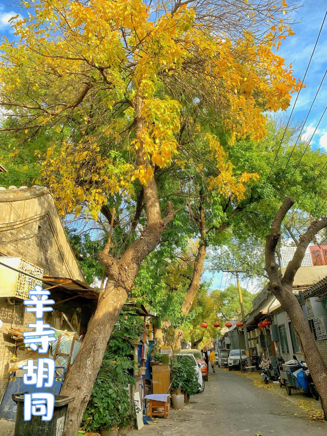 北锣鼓巷太拥挤，来这个人少小众胡同吧