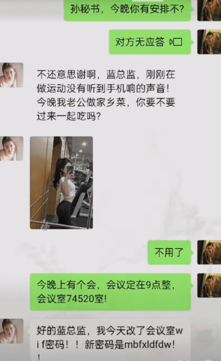 老婆给蓝总发的消息，谁能领会？