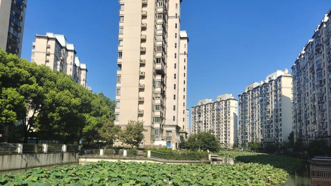 上海最大的小区，业主“炒掉物业”有哪些值得我们深思的事情！