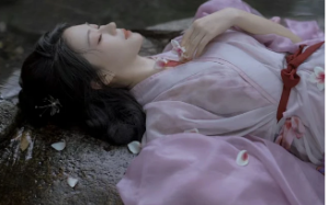 我救下的人为了嫡姐害我性命