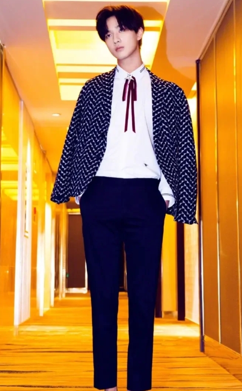 李宏毅的追梦之旅与演技绽放