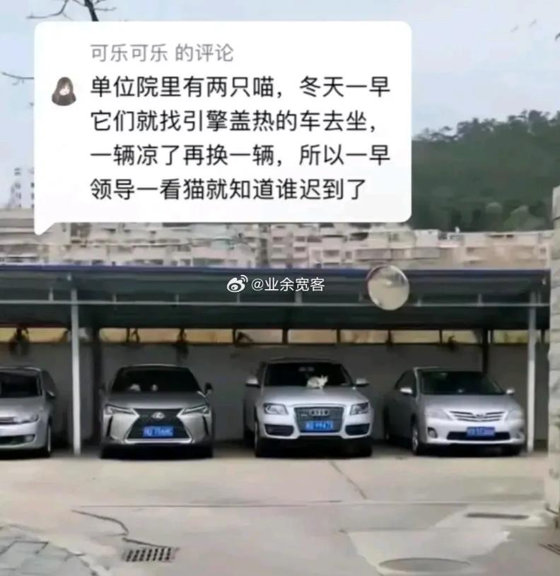 单位有个免费的考勤员 ​
