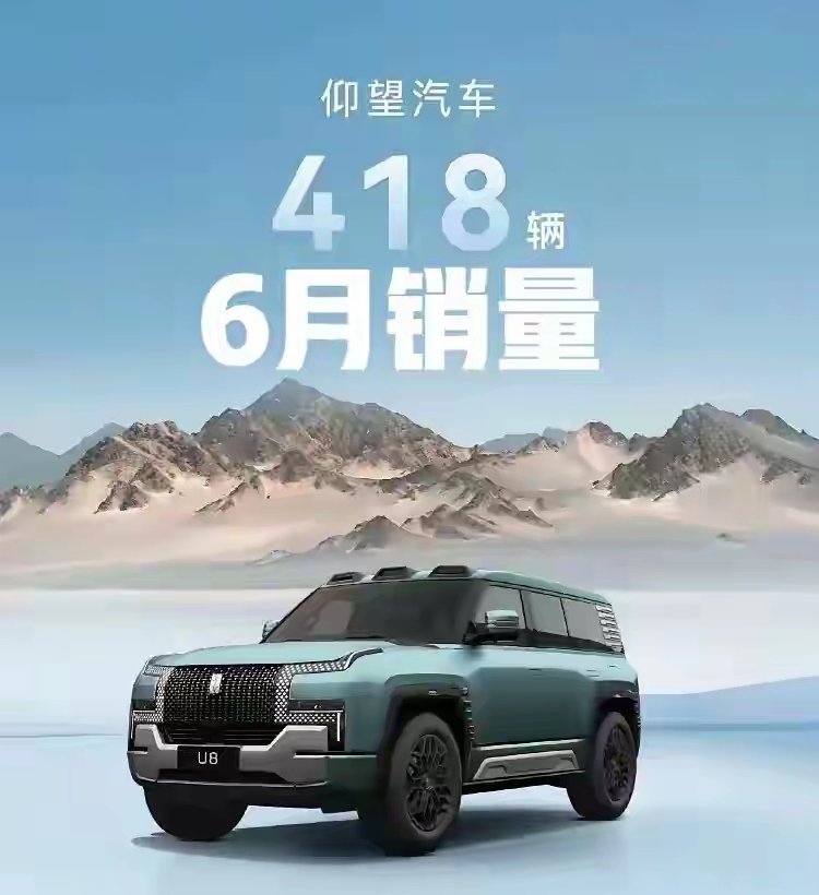 仰望U8这么快就结束了。
这款车刚出来的时候，看了其在网上的营销宣传，拳打宝马X