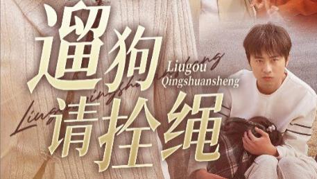 《遛狗请拴绳》第31集-在线观看高清完整未删减版-短剧-龙沿汐：《遛狗请拴绳》的“现世报”与成长