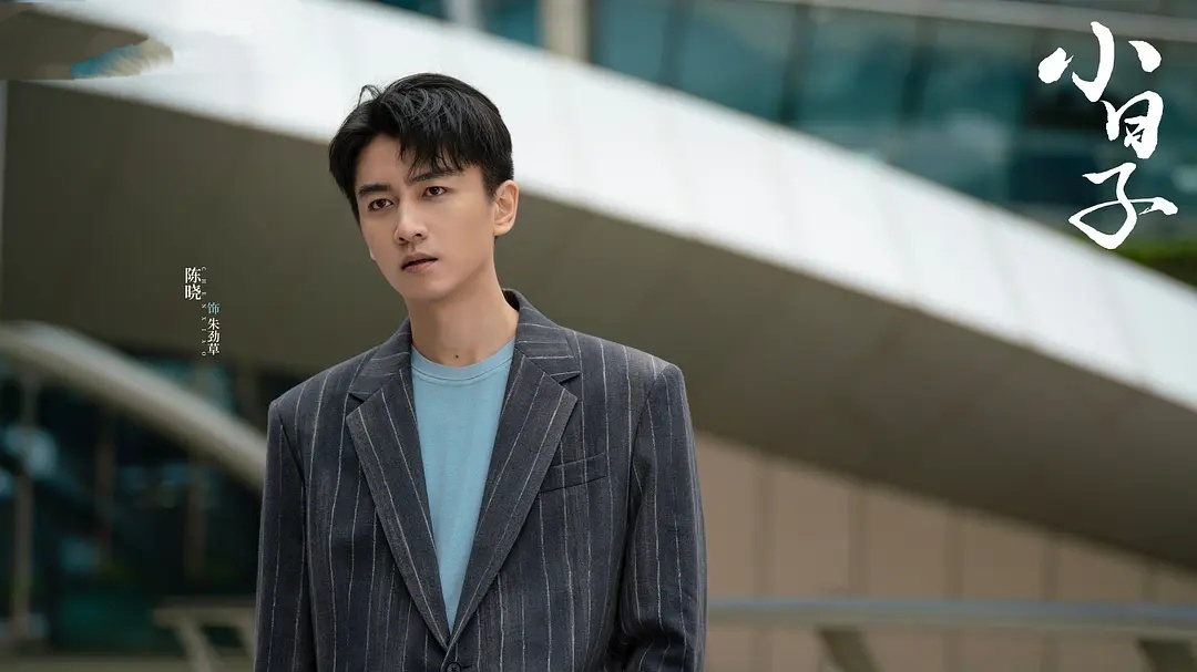 演员演技好，但剧情太抓马，陈晓新剧被一星刷屏一点也不冤
《小日子》是一部由陈晓、