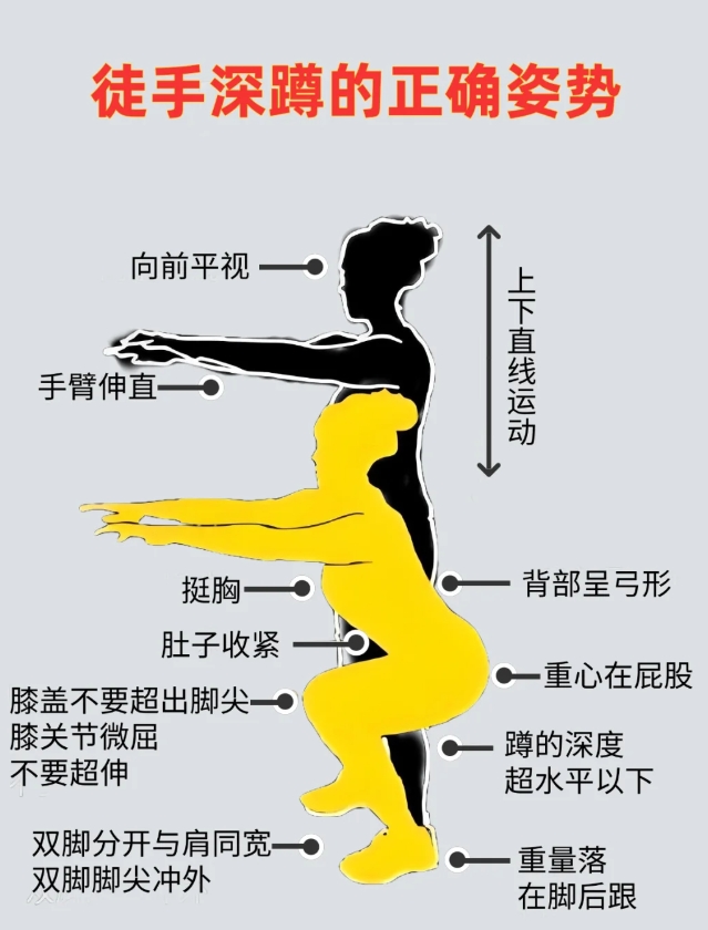 徒手深蹲的正确姿势，随时随地都可以练。