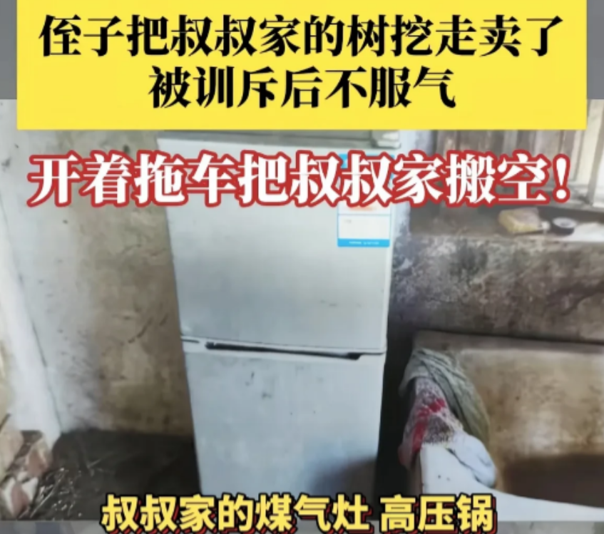 11月11日，男子把叔叔家的树挖走卖了，叔叔把他训了一顿，男子不服气，直接开着自