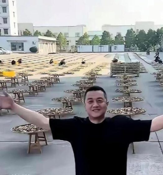 李亚鹏的回血能力真是惊人！

投资房地产亏了。

投资古玩亏了。

投资茶叶亏了