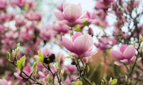 异性之间，这些“需求”其实不用说出口，你们之间都应该心有灵犀
接纳需求，拥抱不完