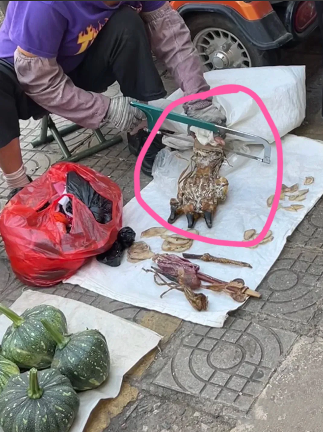 农贸市场看到的，没敢问这是什么动物爪子，太吓人了！

今天去买菜，从农贸市场走出