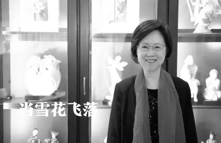 琼瑶为什么这么牛？妥妥的书香世家！

父亲陈致平，作家，教授。

母亲袁行恕，国
