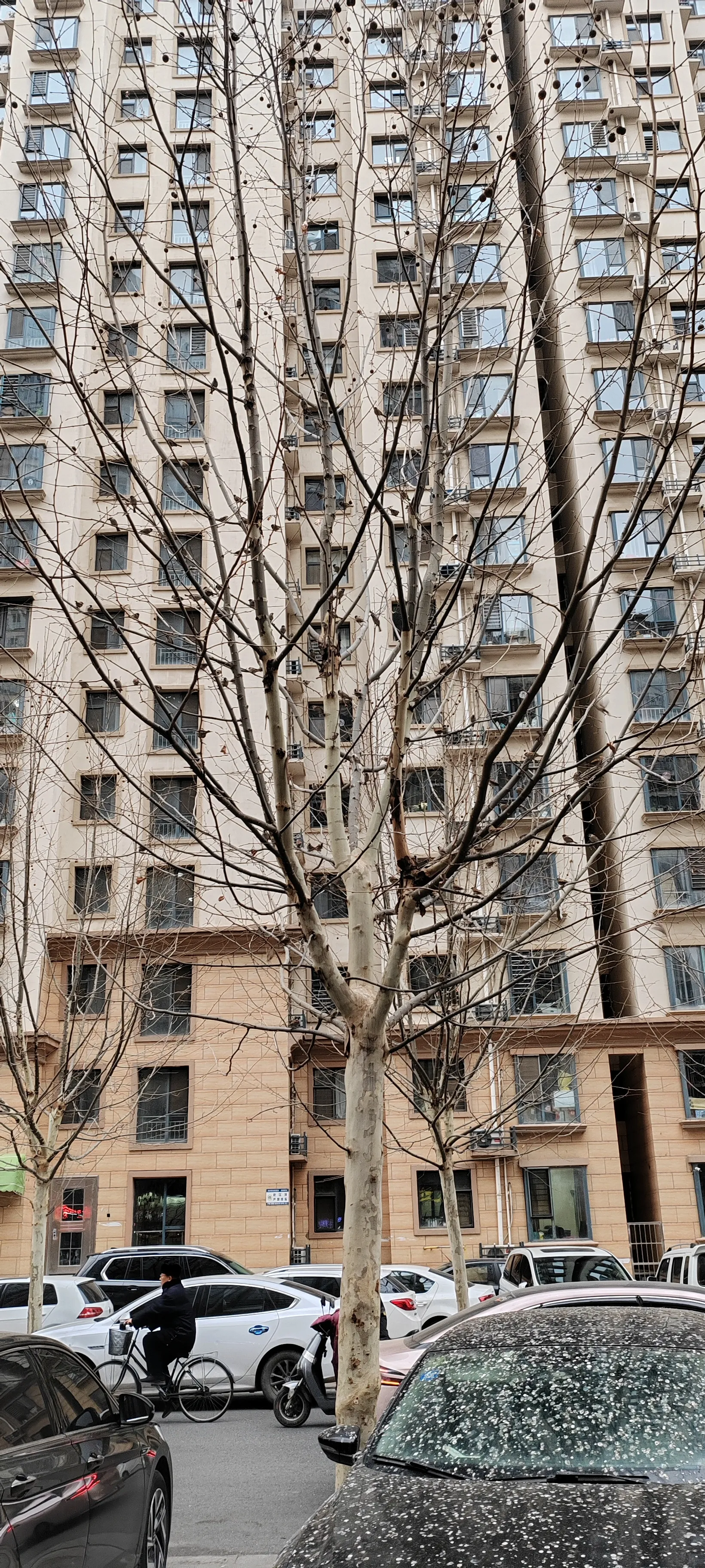 那天孩子他爸特别激动开心的对我说，原来二婚领结婚证是需要离婚证的，原来你不是二婚