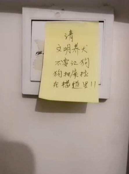 这也太过分了啊……