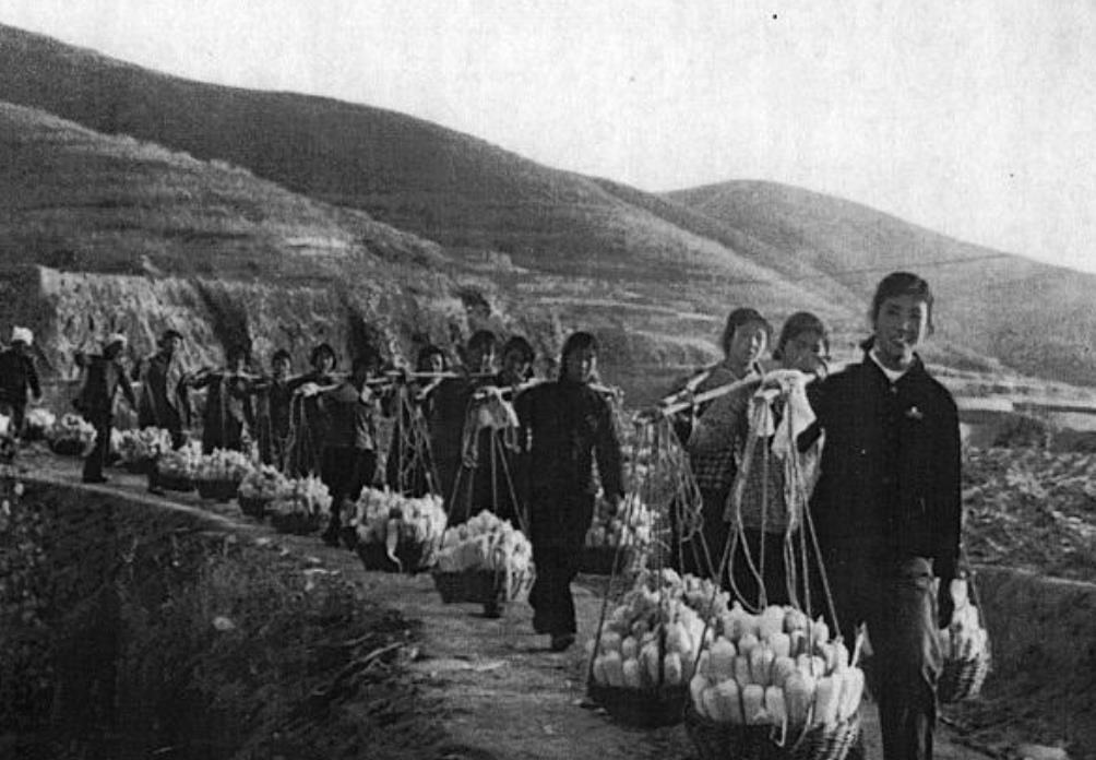 1978年，胡耀邦批评学大寨的一些做法劳民伤财，这消息传到时任国务院副总理陈永贵