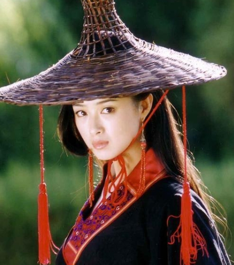 新版的电视剧《天龙八部》上演，这部剧有胡军，林志颖，高虎，刘亦菲，刘涛主演，紧张