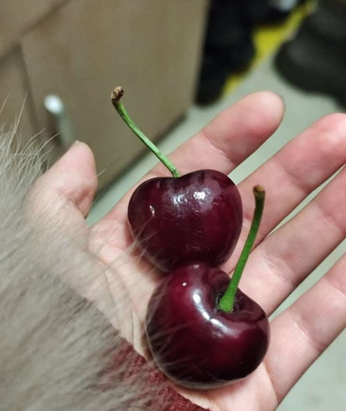 这6块钱虽然不多，但也是我的血汗钱啊