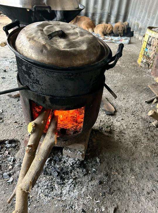 第一批回家的大学生都在干嘛啊？