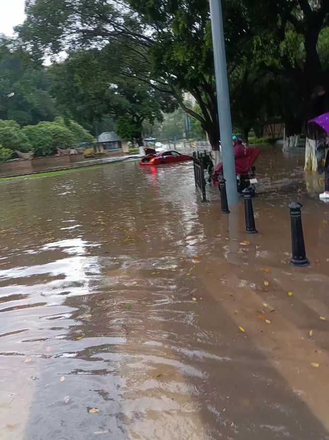 坐标广州。

上午的一场大暴雨我们海珠区就成了汪洋，学校可以延迟上学，孩子一直在