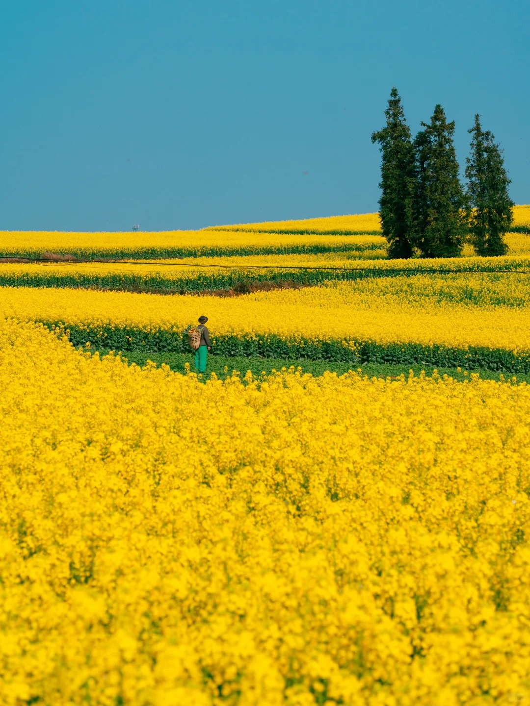 《国家地理》没骗我，我愿称之全世界最美春天
这里曾被《环球人文地理》杂志
评选为