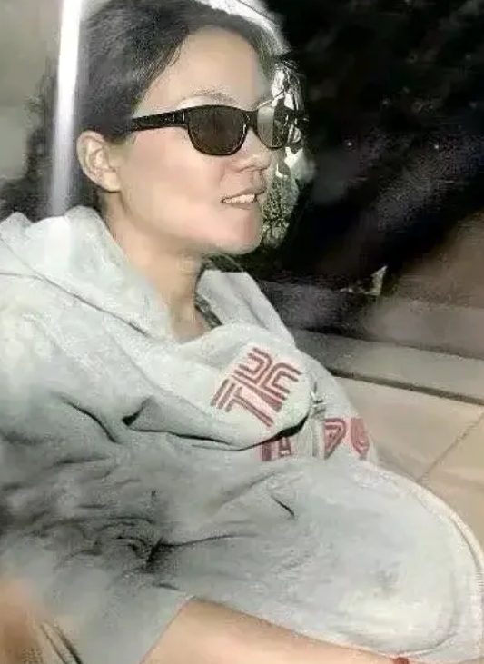 王菲有什么魅力？
这是王菲怀李嫣时的照片吗
王菲李亚鹏05年结婚，06年就生了李