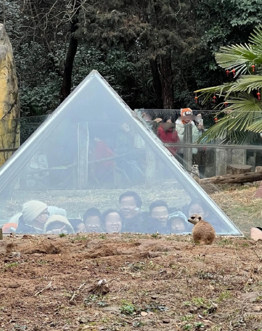 花钱被动物看也是挺幸福的 ​​​