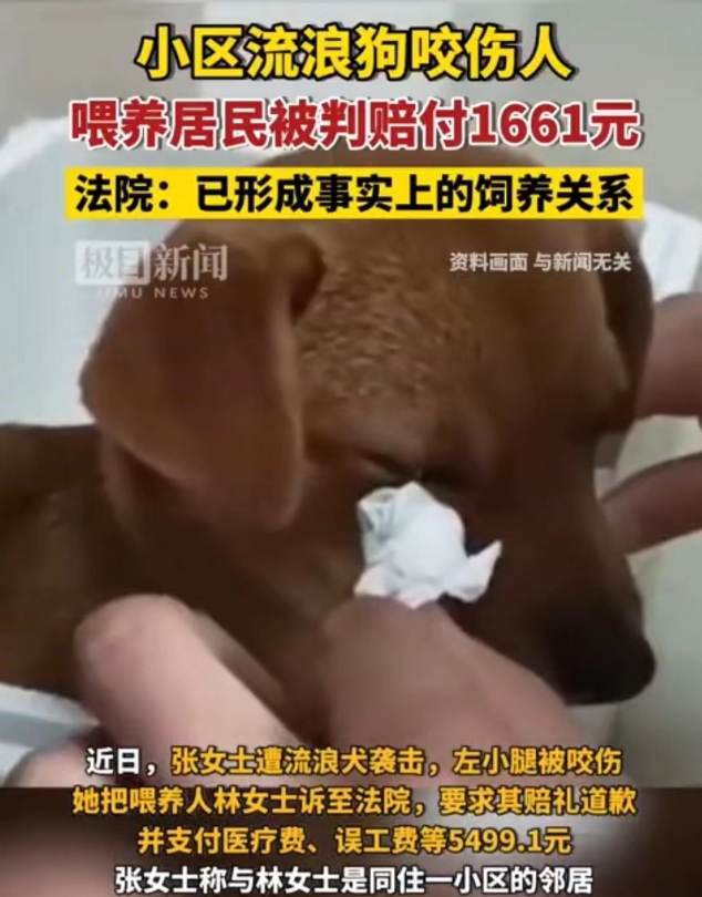 北京，张女士遭小区流浪狗袭击，左小腿被咬受了伤。为给自己讨个说法，她将小区一位经