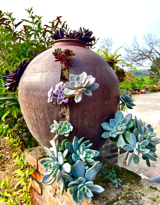 家家户户都有的“天然松土剂”，