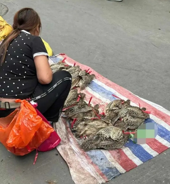 心真大！这个是能卖的吗？
 ⁡ ⁡ ⁡ ⁡ ⁡