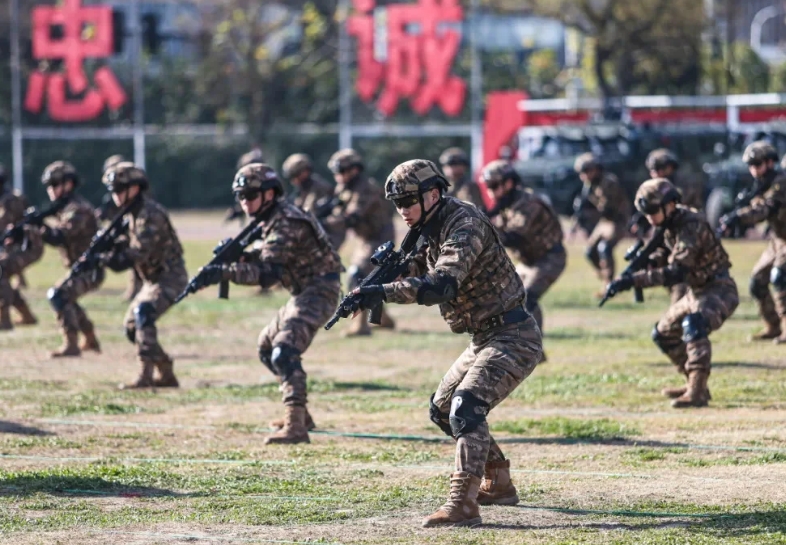 武警—机动
武警机动部队的风采，安能辨我是鹰兔，装备党及其高兴。