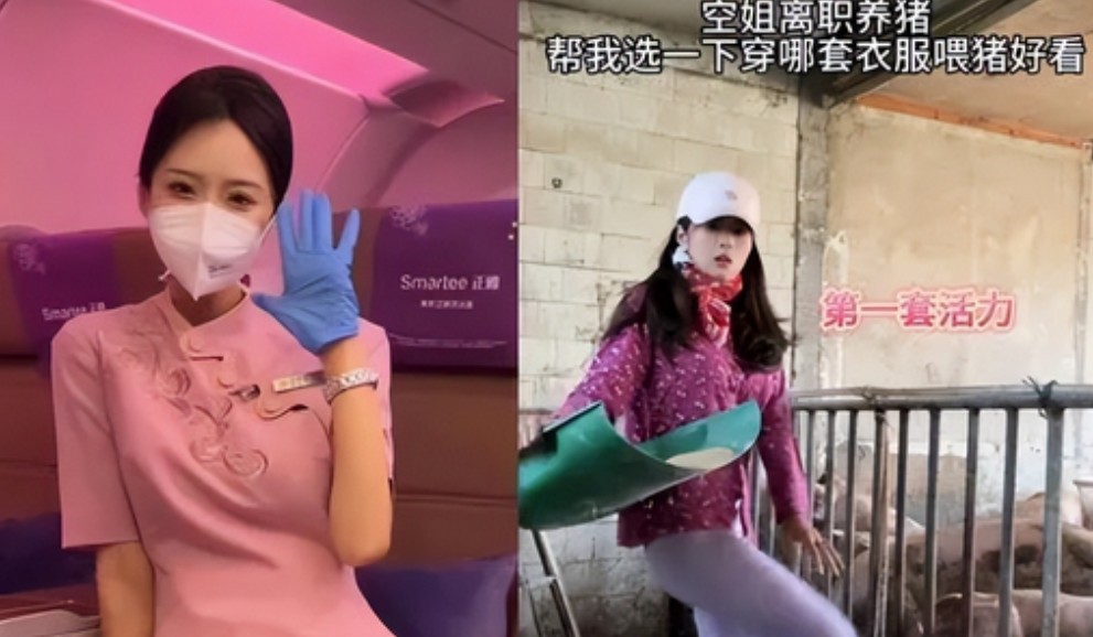 羡慕死了！25岁空姐裸辞“躺平”，卖掉了自己之前所有的奢侈品，拿出所有继续开始养猪！