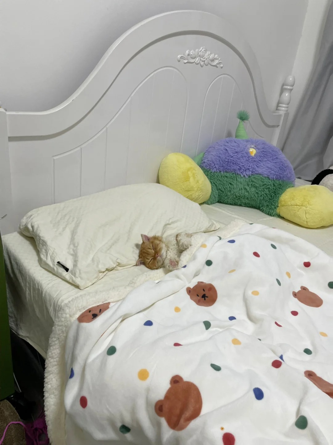 暴雨 回到家看它困困的样子真是狠狠戳到了
宝宝还会踹被子 狠狠的亲一口🥹
