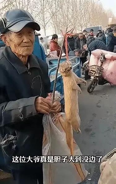 俗话说：一物降一物，这种动物一般人不敢惹，惹完了麻烦就来了，但到大爷的手里，仿佛