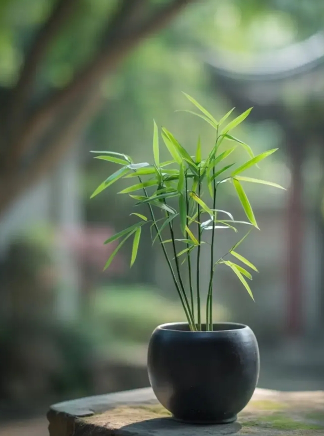 胡锡进说：“电诈集团都是通过打电话进行诈骗的，那进行电诈的手机号进行实名了吗？为