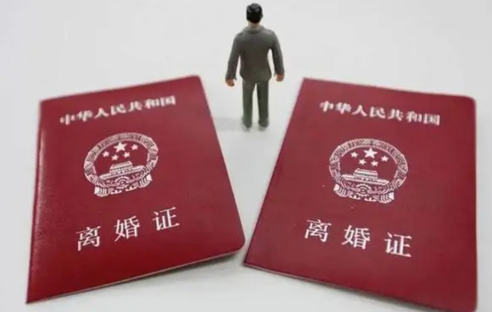 丈夫出轨气死岳母，离婚还想分岳母遗产！11月13日，杭州女子小静，带着母亲散心时